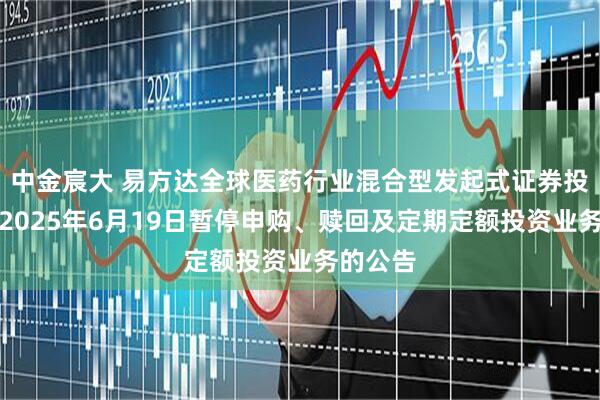中金宸大 易方达全球医药行业混合型发起式证券投资基金2025年6月19日暂停申购、赎回及定期定额投资业务的公告