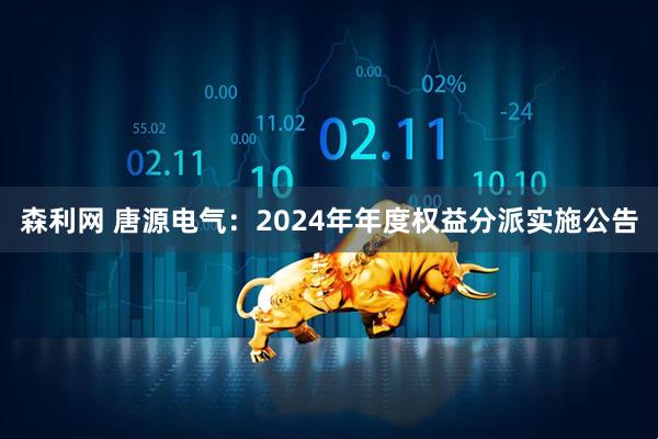 森利网 唐源电气：2024年年度权益分派实施公告