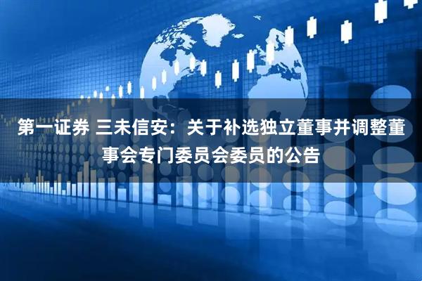 第一证券 三未信安：关于补选独立董事并调整董事会专门委员会委员的公告