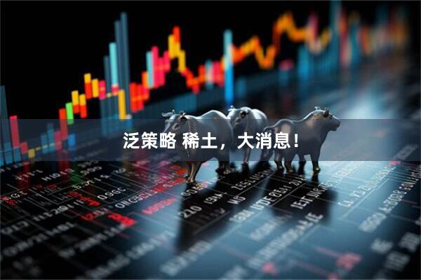 泛策略 稀土，大消息！