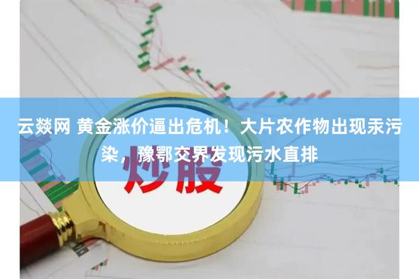云燚网 黄金涨价逼出危机！大片农作物出现汞污染，豫鄂交界发现污水直排