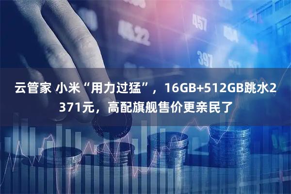 云管家 小米“用力过猛”，16GB+512GB跳水2371元，高配旗舰售价更亲民了
